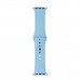 Ремінець Silicone Apple Watch 42mm Light Sea Blue (16)