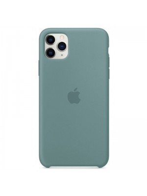 Чохол Apple Silicone Case 1:1 iPhone 11 Pro Cactus (11)