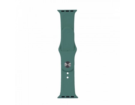 Ремешок Silicone Apple Watch 38/40/41 mm Pine Green (55) (57)