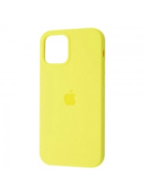 Чехол Silicone Case Full Cover iPhone 12 Pro Max Copy Flash (41)