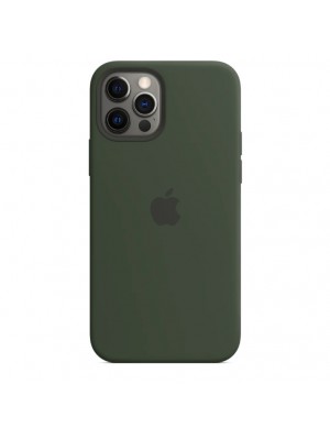 Чехол Silicone Case with MagSafe &amp; SplashScreen iPhone 12 Pro Max Cyprus Green