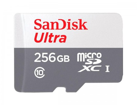 microSDXC (UHS-1) SanDisk Ultra 256Gb class 10 A1 (100Mb/s)