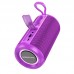 Портативна Bluetooth колонка Borofone Noble sports BT speaker BR37 BT5.3, USB/TF/FM/AUX, TWS, 5Wx2, 2h