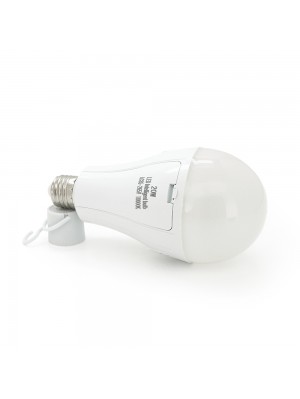 Лампочка с аккумуляторами 2*18650 Emergency Bulb, 20W, Box