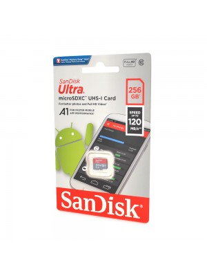 Карта пам'яті SanDisk microSDHC Class 10 UHS-I, 256GB