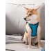 Шлея для собак Xiaomi Jordan-Judy розмір M (270 x 200 мм) PE073 Blue
