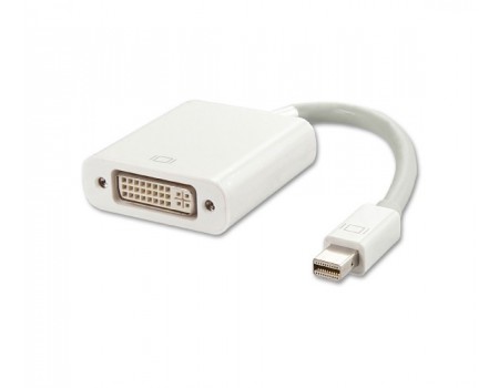 Адаптер Voltronic Mini DisplayPort - DVI White (YT-C-mnDP(M)/DVI(F)-W/08629)