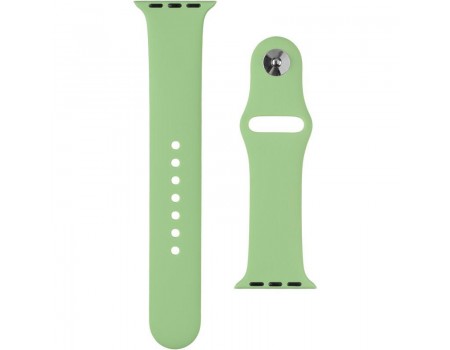 Силіконовий ремінець для Apple Watch 38mm Spearmint (20)