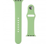 Силіконовий ремінець для Apple Watch 42mm Spearmint (20)