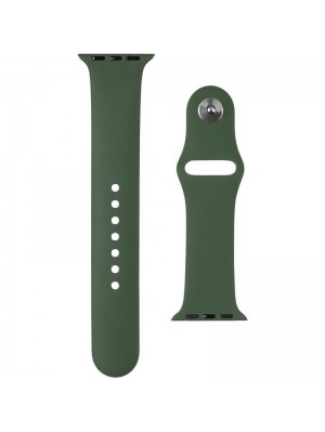 Силіконовий ремінець для Apple Watch 42mm Pine Green (43)