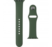 Силиконовый ремешок для Apple Watch 38mm Pine Green (43)