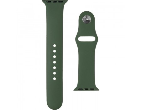 Силиконовый ремешок для Apple Watch 38mm Pine Green (43)